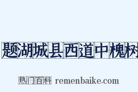 题湖城县西道中槐树是什么意思的图片
